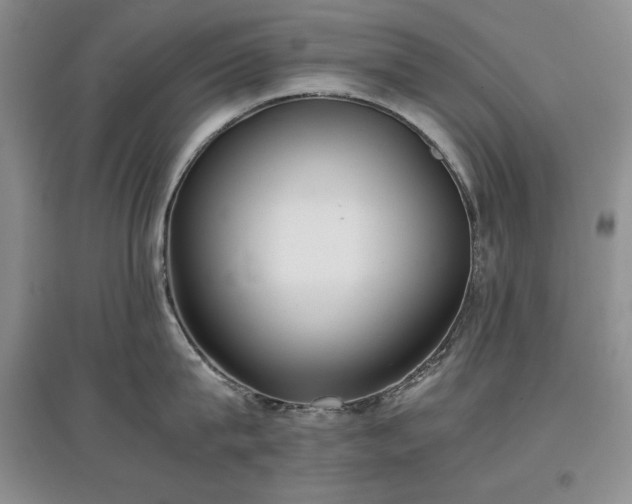 X0000097600815200803071428