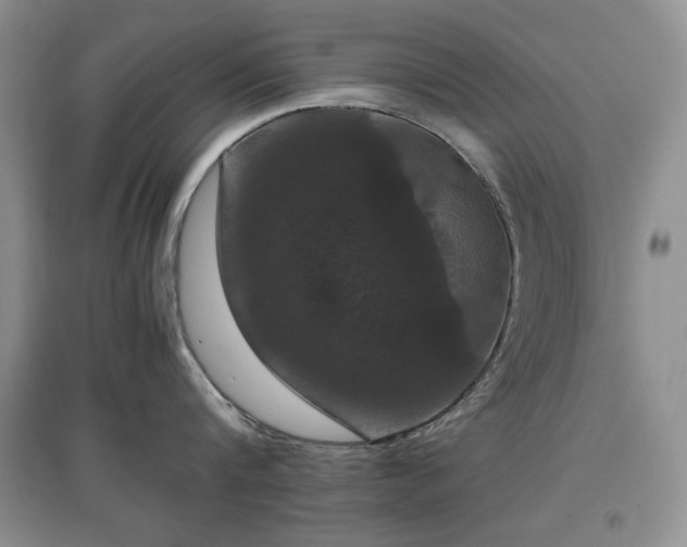 X0000097600816200803071428