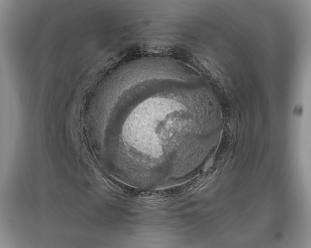 X0000097600817200803071427