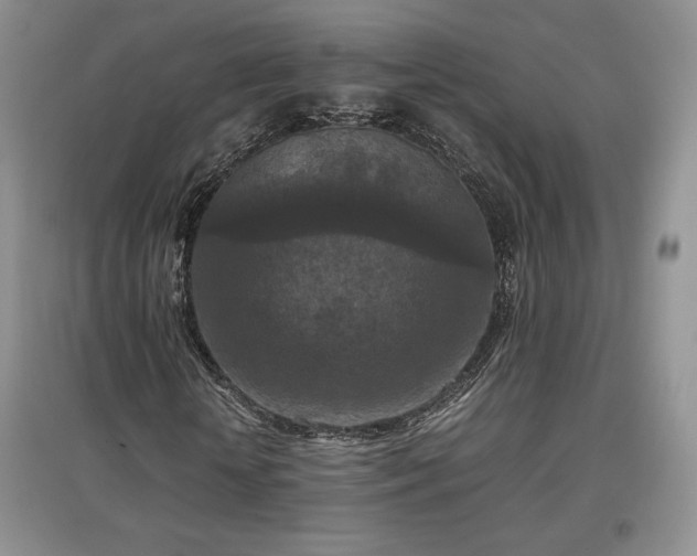 X0000097600818200803071427