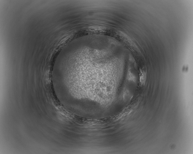 X0000097600819200803071427