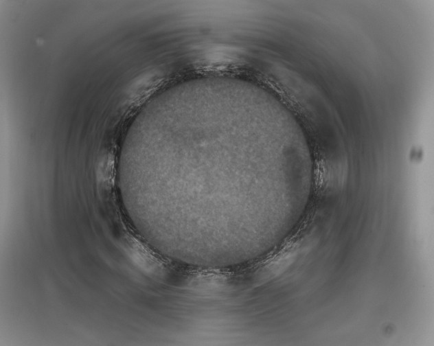 X0000097600820200803071427