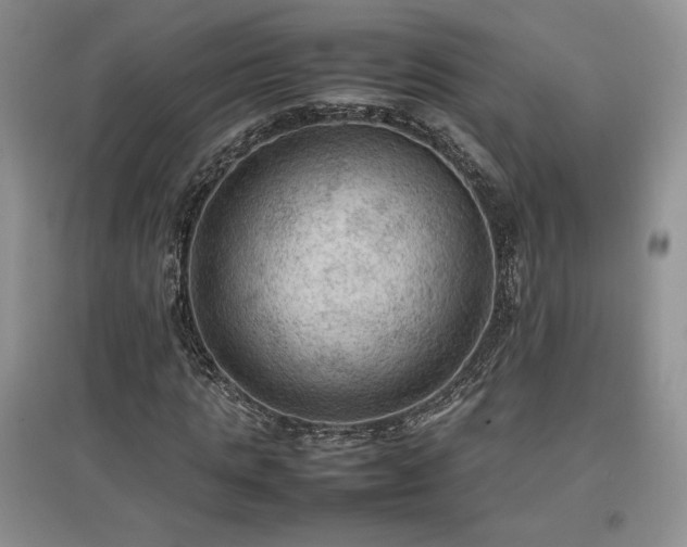X0000097600821200803071427