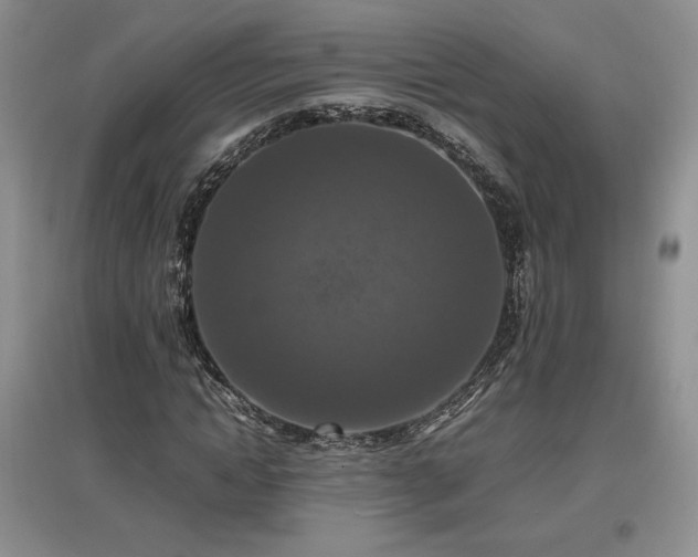 X0000097600822200803071428