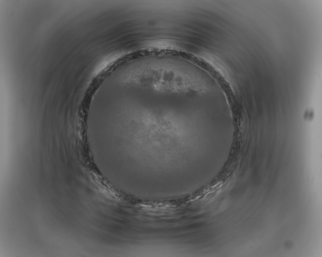 X0000097600823200803071428