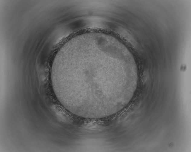 X0000097600824200803071428