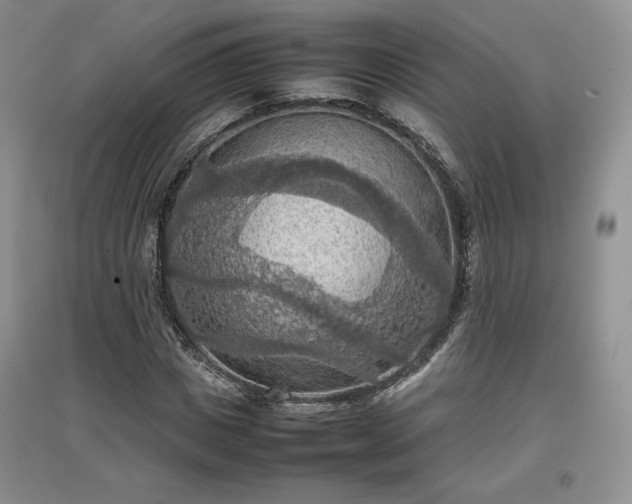 X0000097600825200803071428