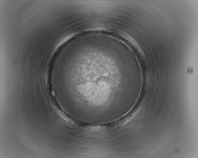 X0000097600826200803071428