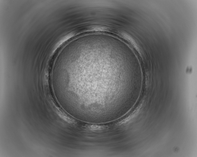 X0000097600827200803071428