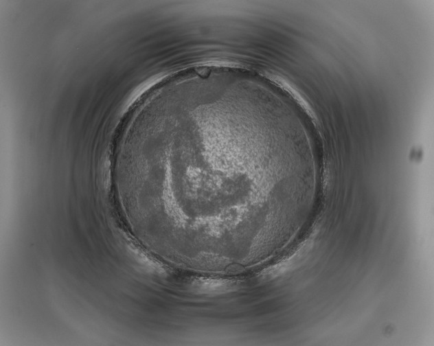 X0000097600829200803071428