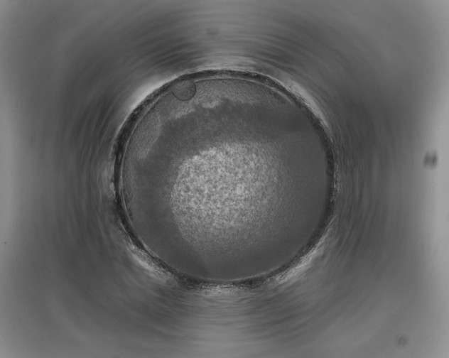X0000097600830200803071428