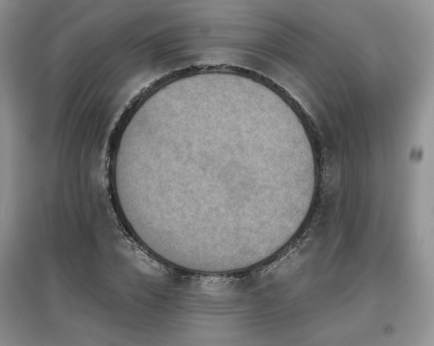 X0000097600832200803071428