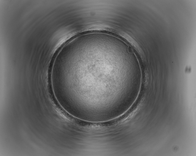 X0000097600834200803071428