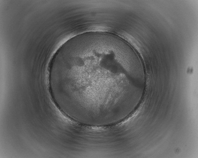 X0000097600835200803071428