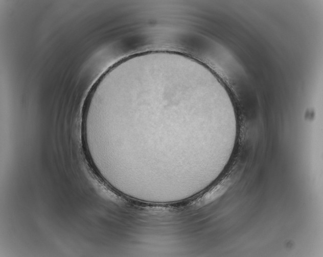 X0000097600836200803071428
