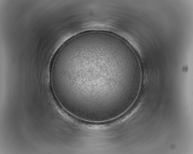 X0000097600837200803071428