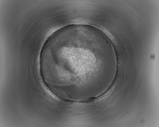 X0000097600840200803071428