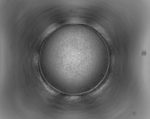 X0000097600841200803071428
