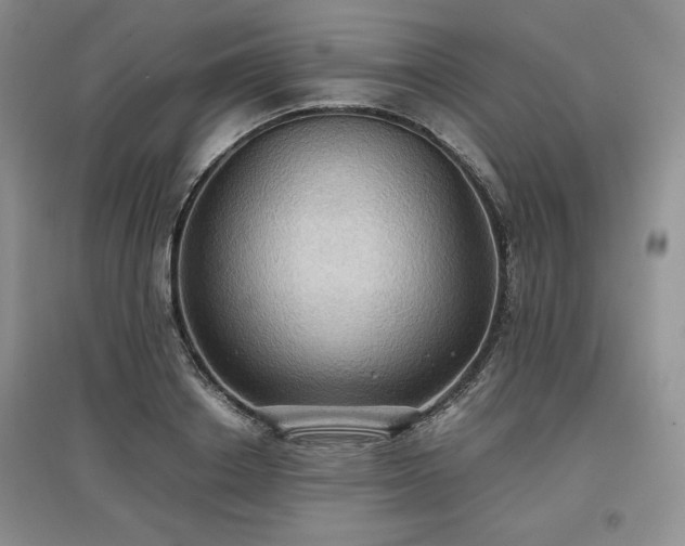 X0000097600842200803071428