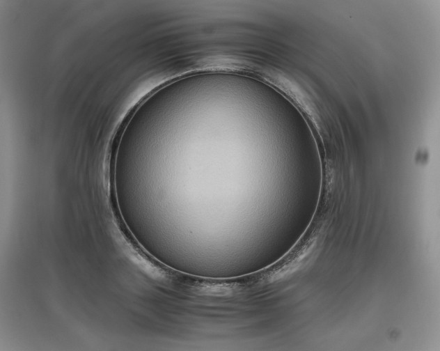 X0000097600843200803071428