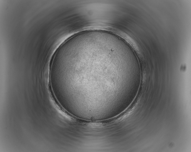X0000097600844200803071428