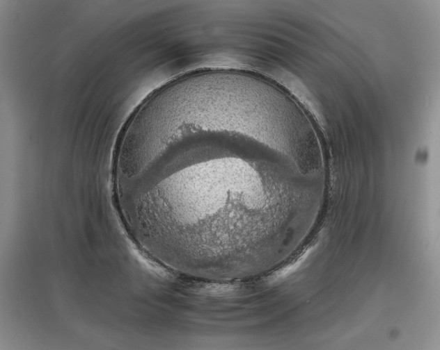 X0000097600845200803071428