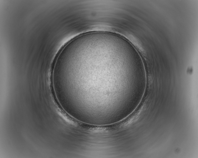 X0000097600846200803071428