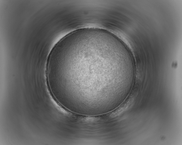 X0000097600847200803071428