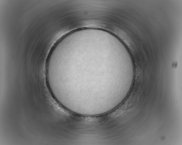 X0000097600848200803071428
