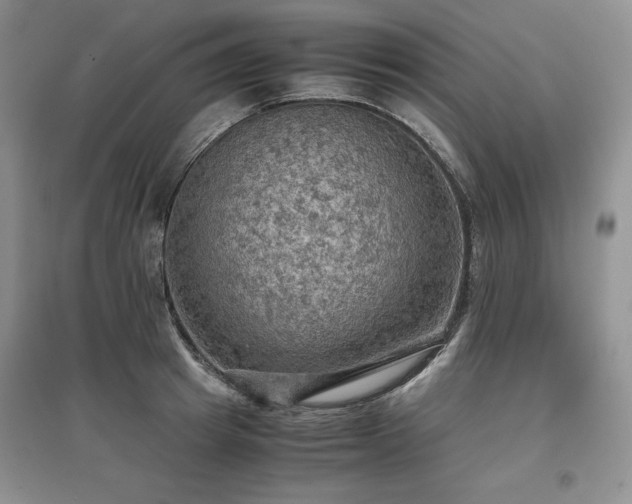X0000097600849200803071428