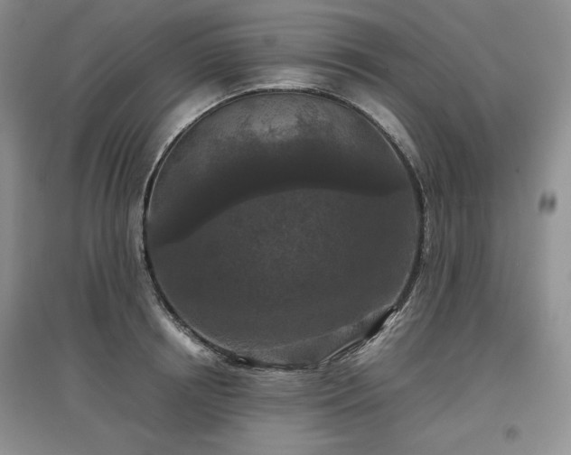 X0000097600850200803071428