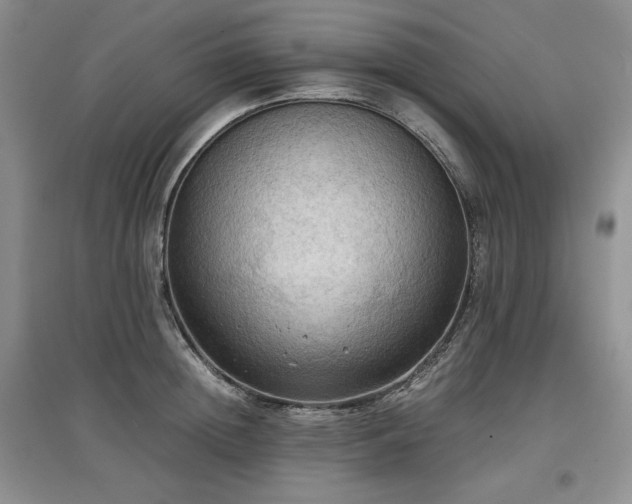 X0000097600852200803071428