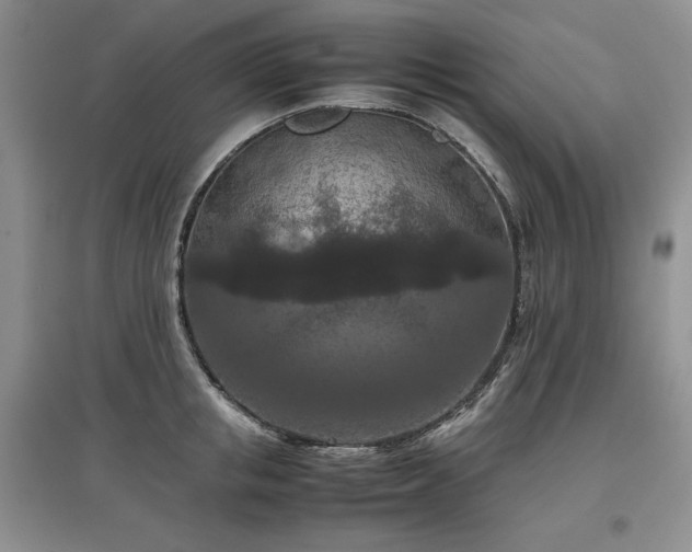 X0000097600853200803071428