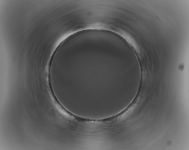 X0000097600854200803071428