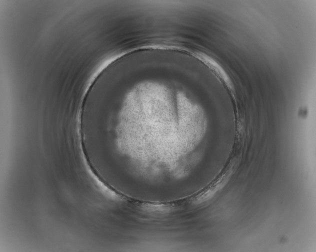 X0000097600855200803071428