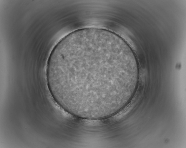 X0000097600856200803071428