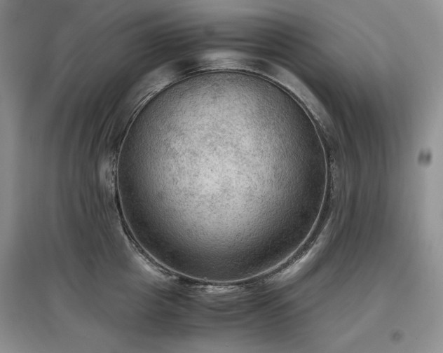 X0000097600857200803071428