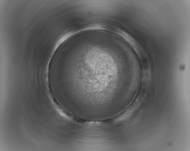 X0000097600858200803071428