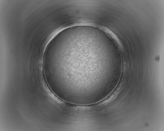 X0000097600860200803071428