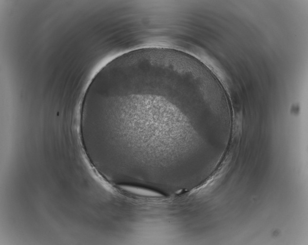 X0000097600862200803071428