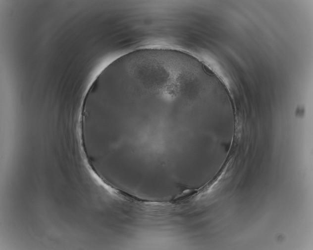 X0000097600863200803071428