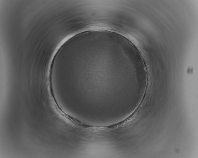 X0000097600864200803071428