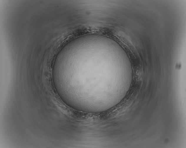 X0000097600865200803071427