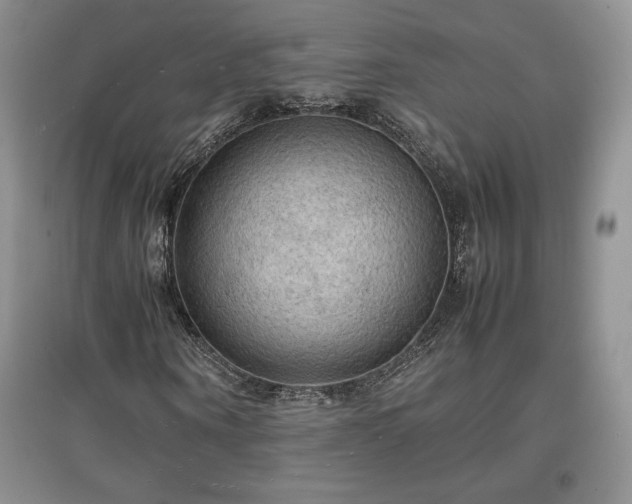 X0000097600866200803071427