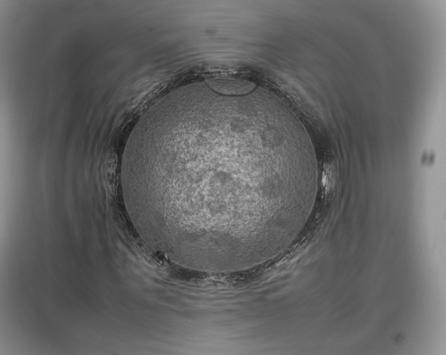 X0000097600867200803071427