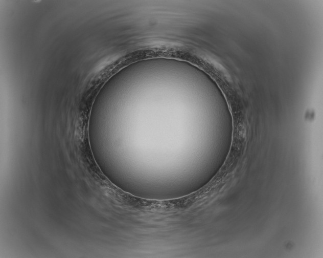 X0000097600869200803071427