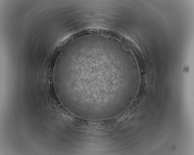 X0000097600870200803071427