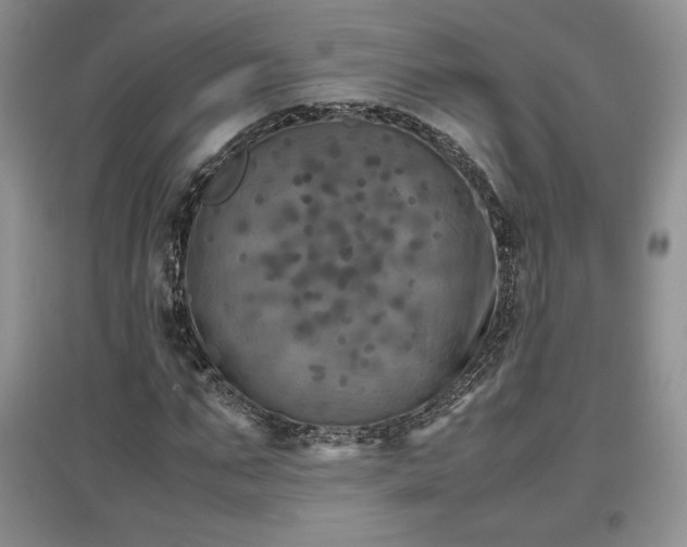 X0000097600871200803071427