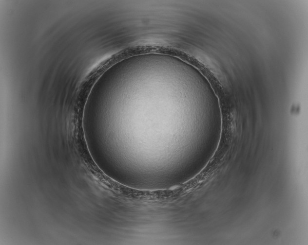 X0000097600872200803071427