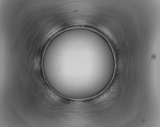 X0000097600873200803071427
